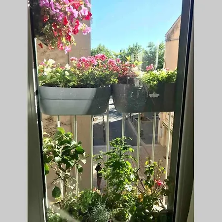 Antinea Apartment Cassis